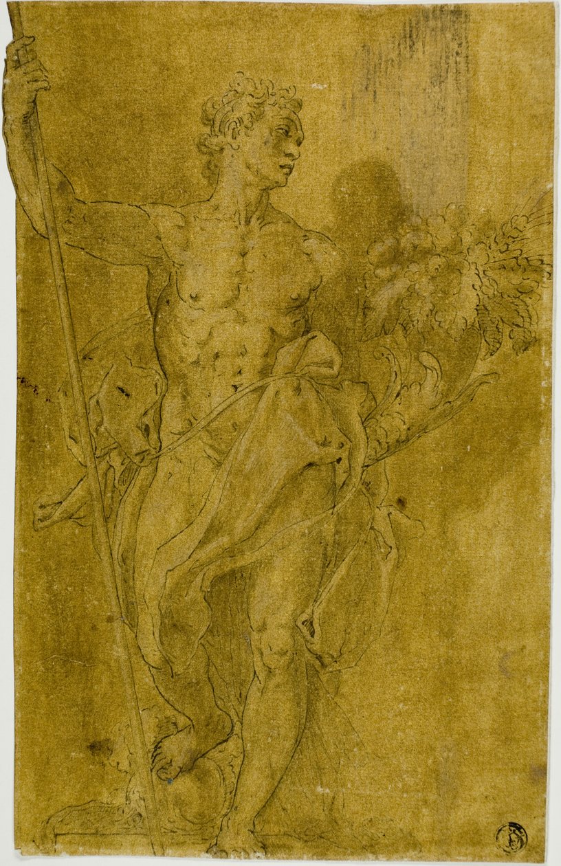  by Taddeo Zuccaro