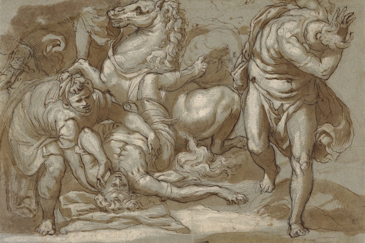  by Taddeo Zuccaro