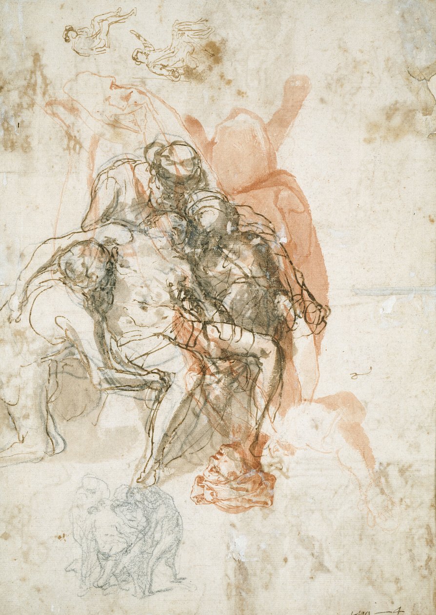  by Taddeo Zuccaro