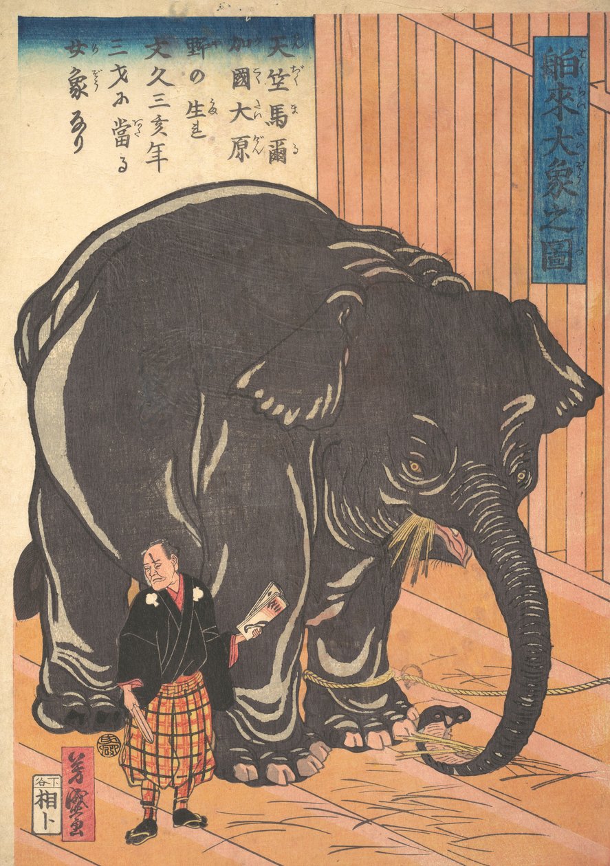 İthal Büyük Filin Görünümü, 1863 Bunkyo 3, 4. Ay. by Taguchi Yoshimori