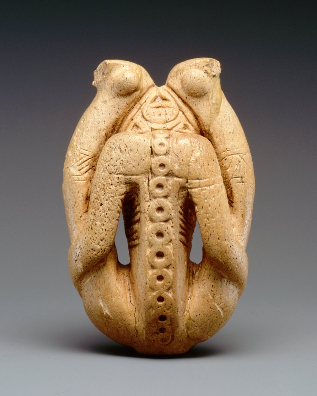 ಕೊಹಿಬಾ ಇನ್ಹೇಲರ್ (ಮನಾಟೆ ಮೂಳೆ) ಟರ್ಕಿ by Taino Culture
