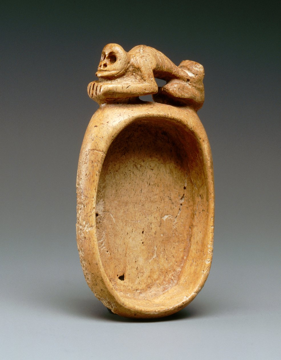 ಕಪ್ ಟರ್ಕಿ by Taino Culture