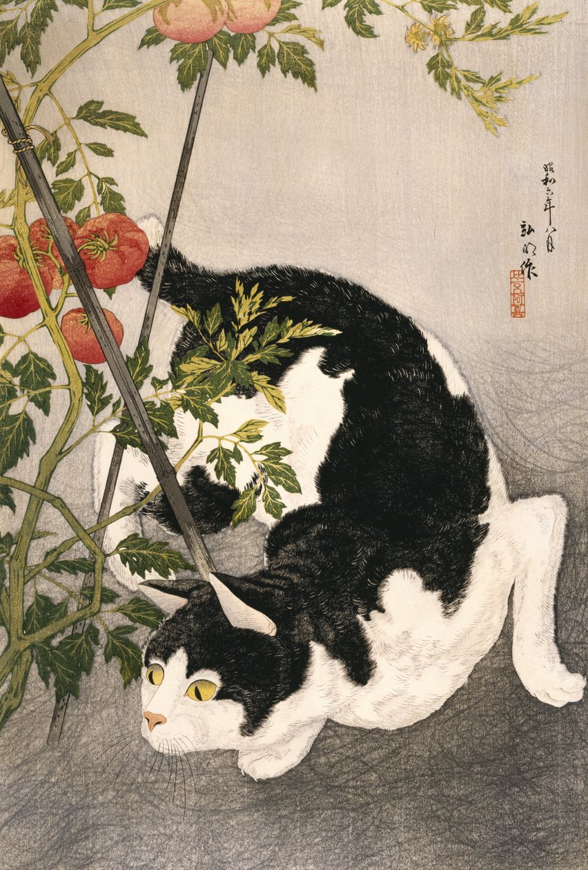 Kazıklı Bir Domates Fabrikasının Etrafında Dolaşan Kedi, 1931 (tahta baskı) by Takahashi Hiroaki