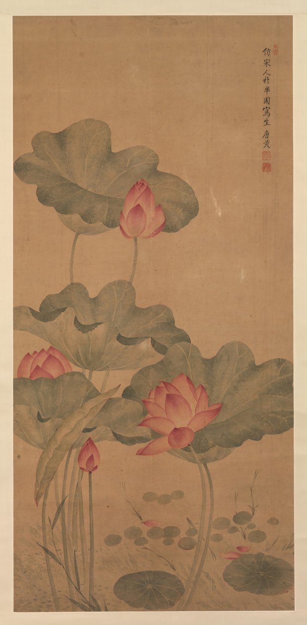 Kırmızı Lotus ve Balık. by Tang Guang