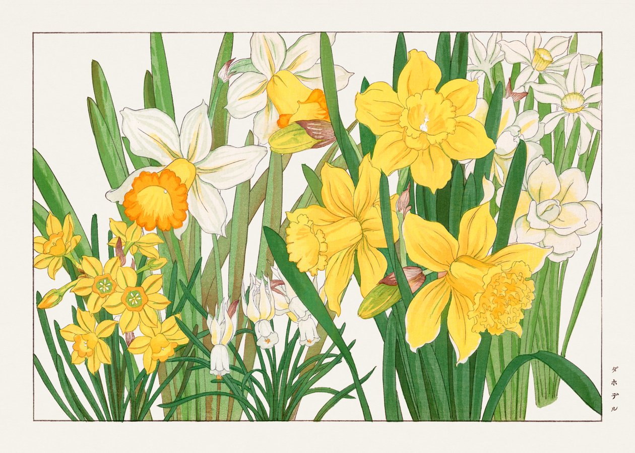  by Tanigami Konan