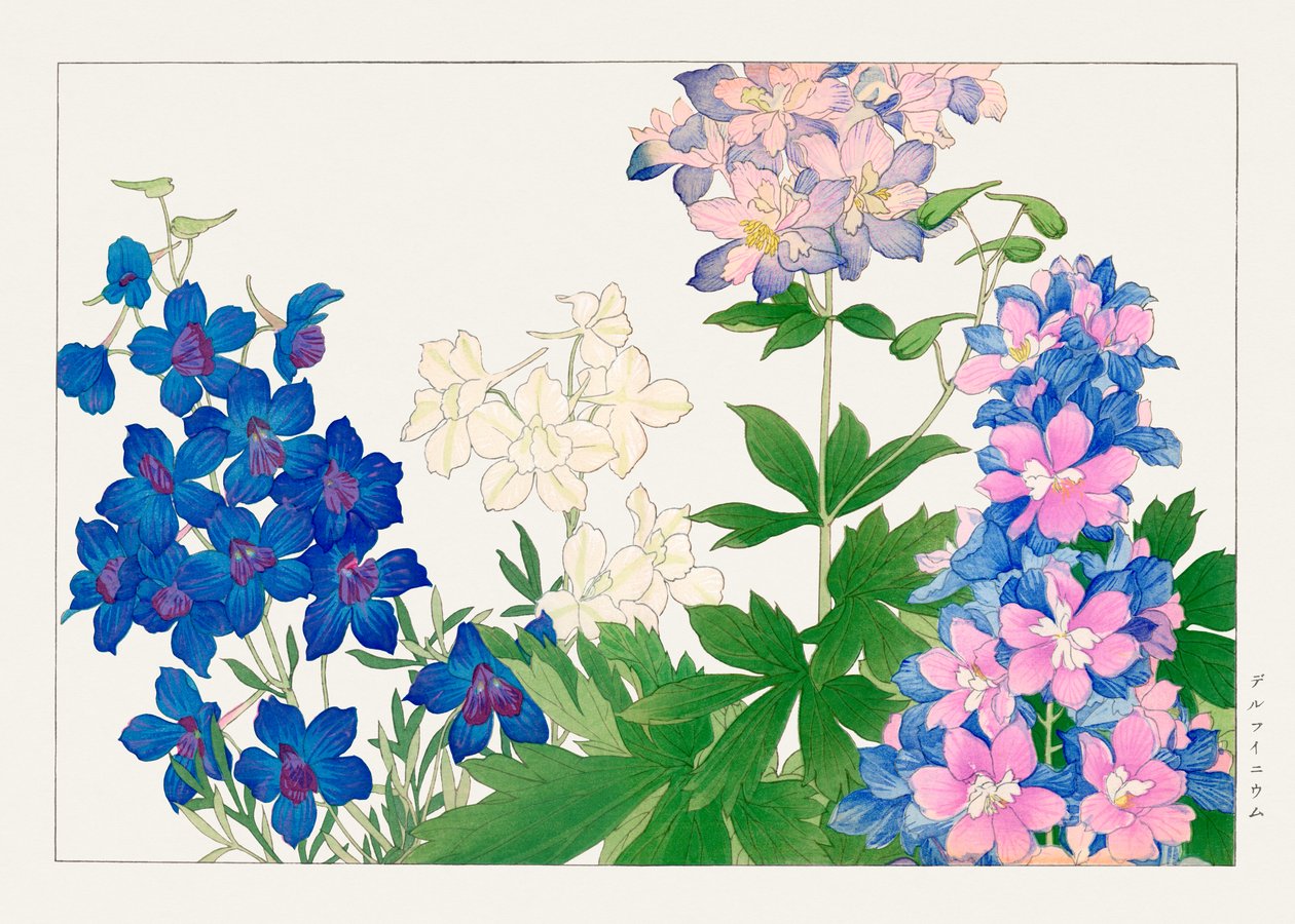  by Tanigami Konan