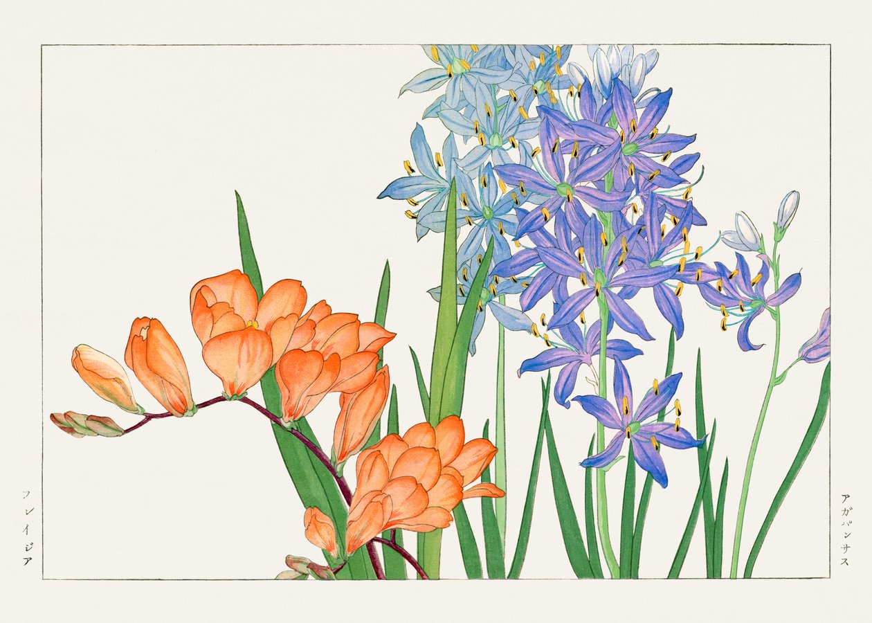  by Tanigami Konan
