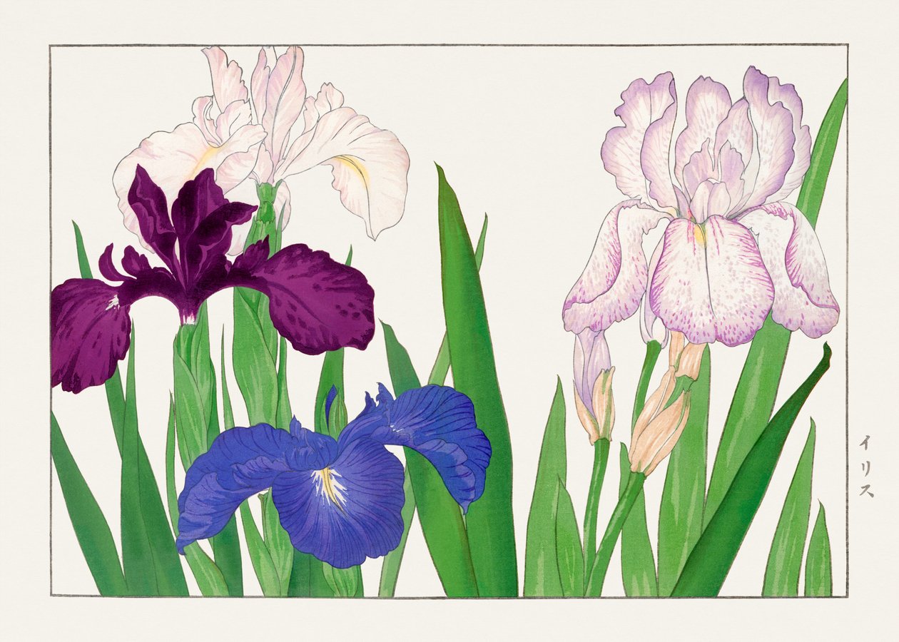  by Tanigami Konan