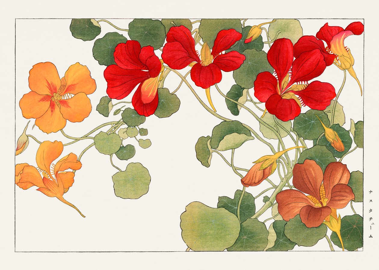  by Tanigami Konan