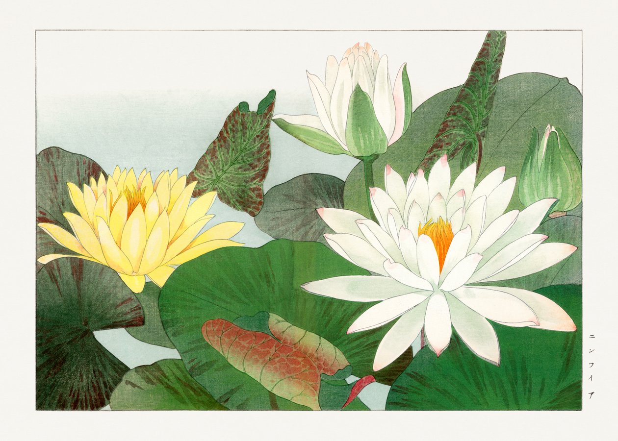  by Tanigami Konan