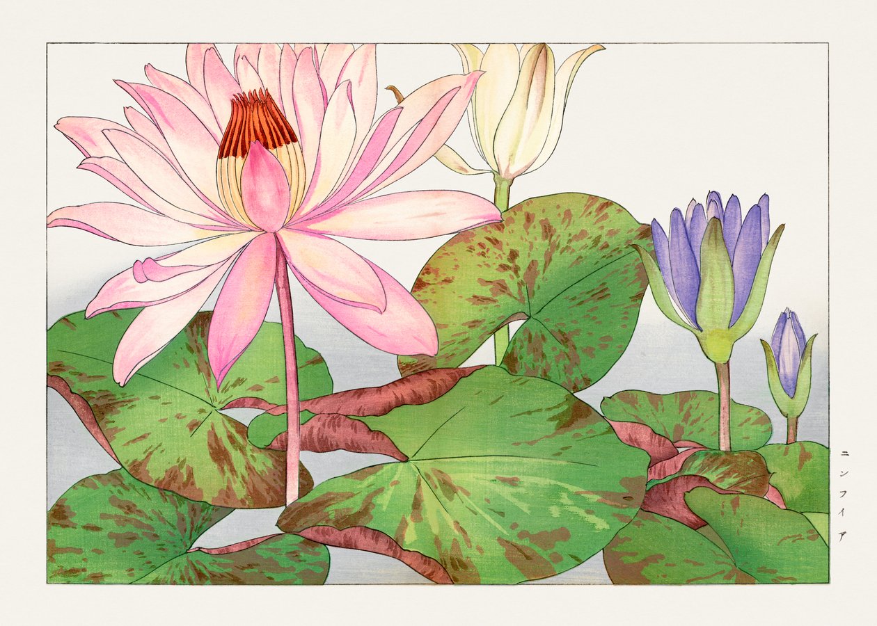  by Tanigami Konan