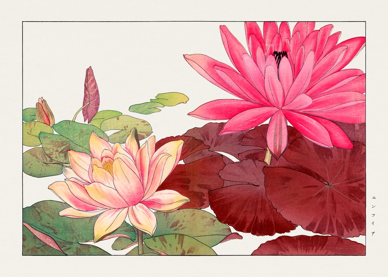  by Tanigami Konan