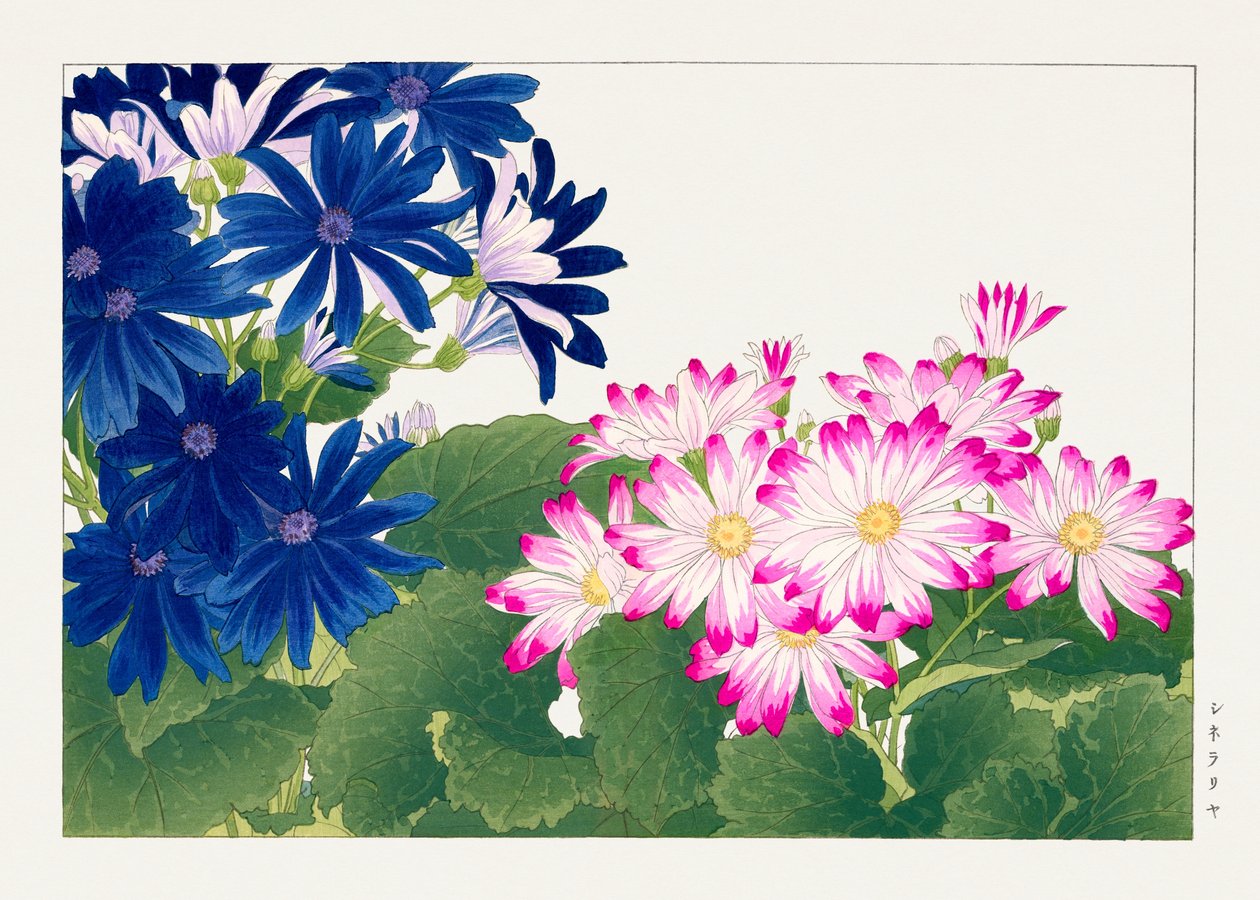  by Tanigami Konan