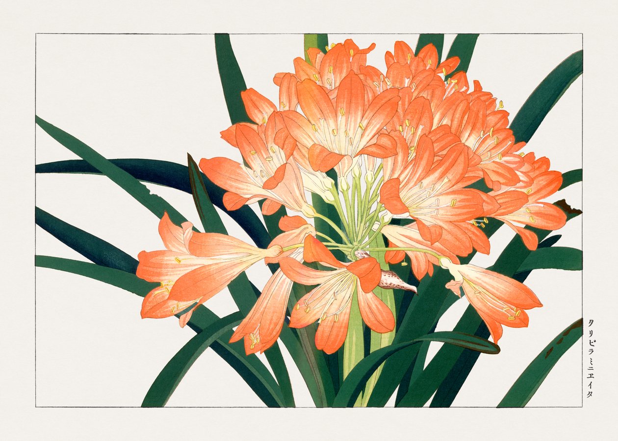  by Tanigami Konan
