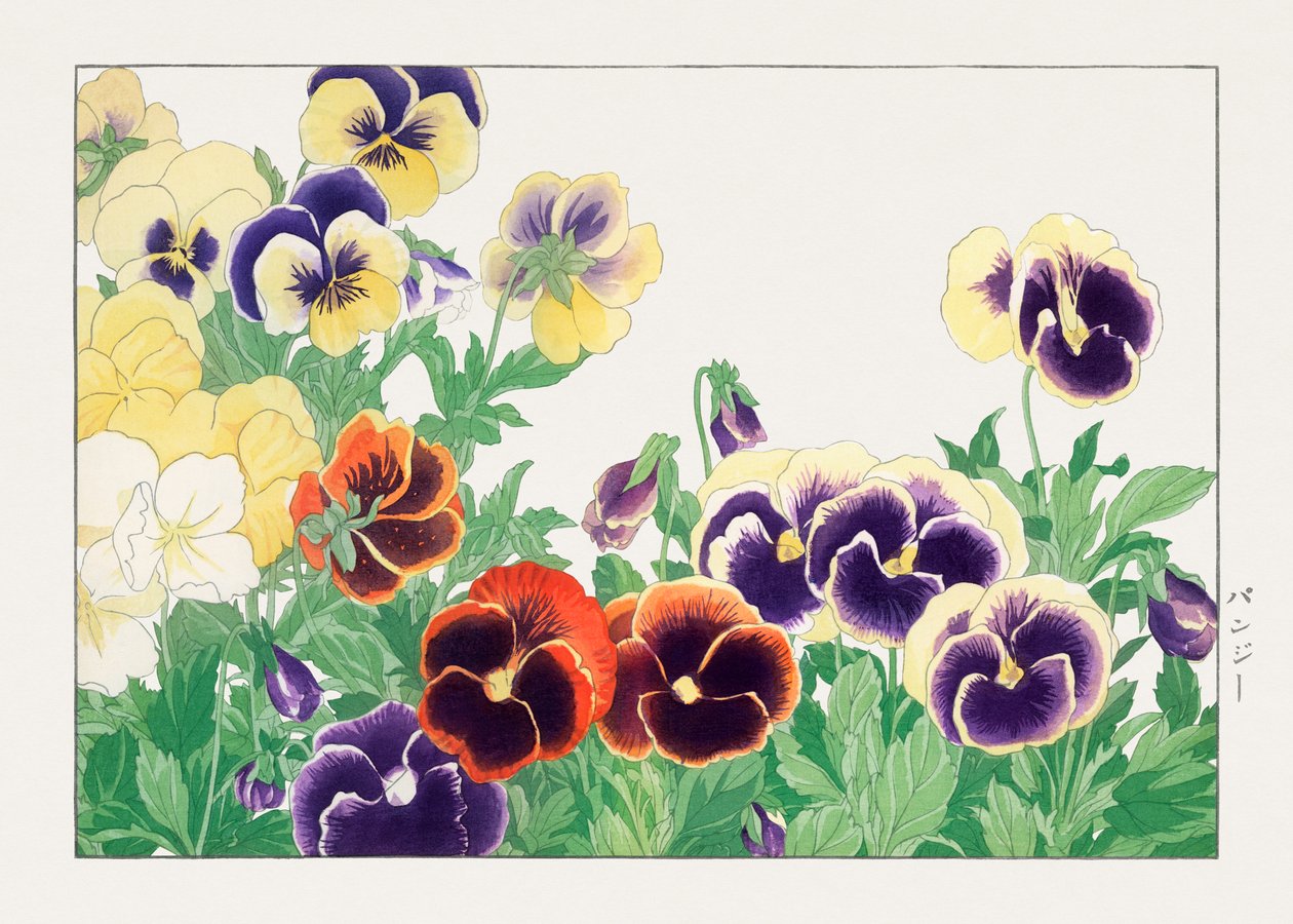  by Tanigami Konan