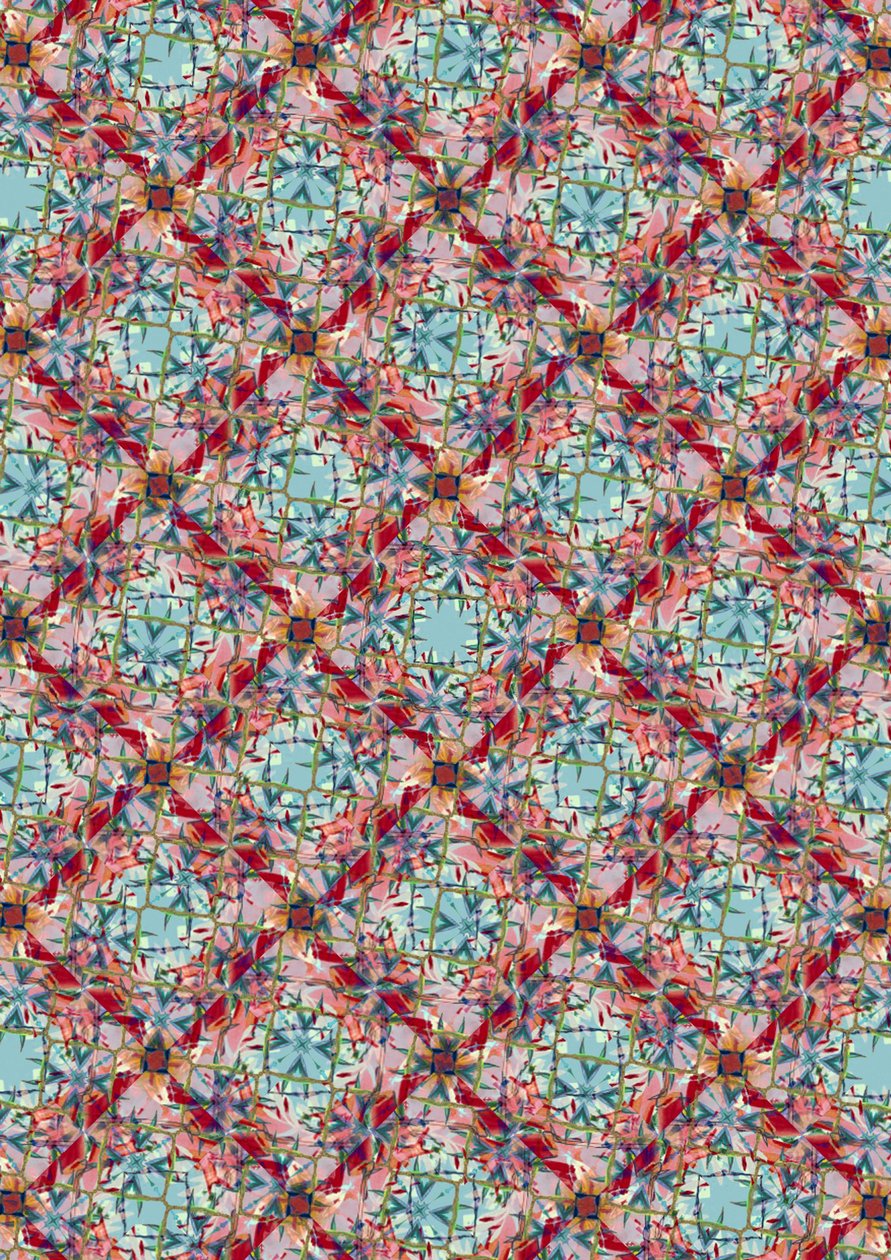 egzotik karışım by Tara Whitehead