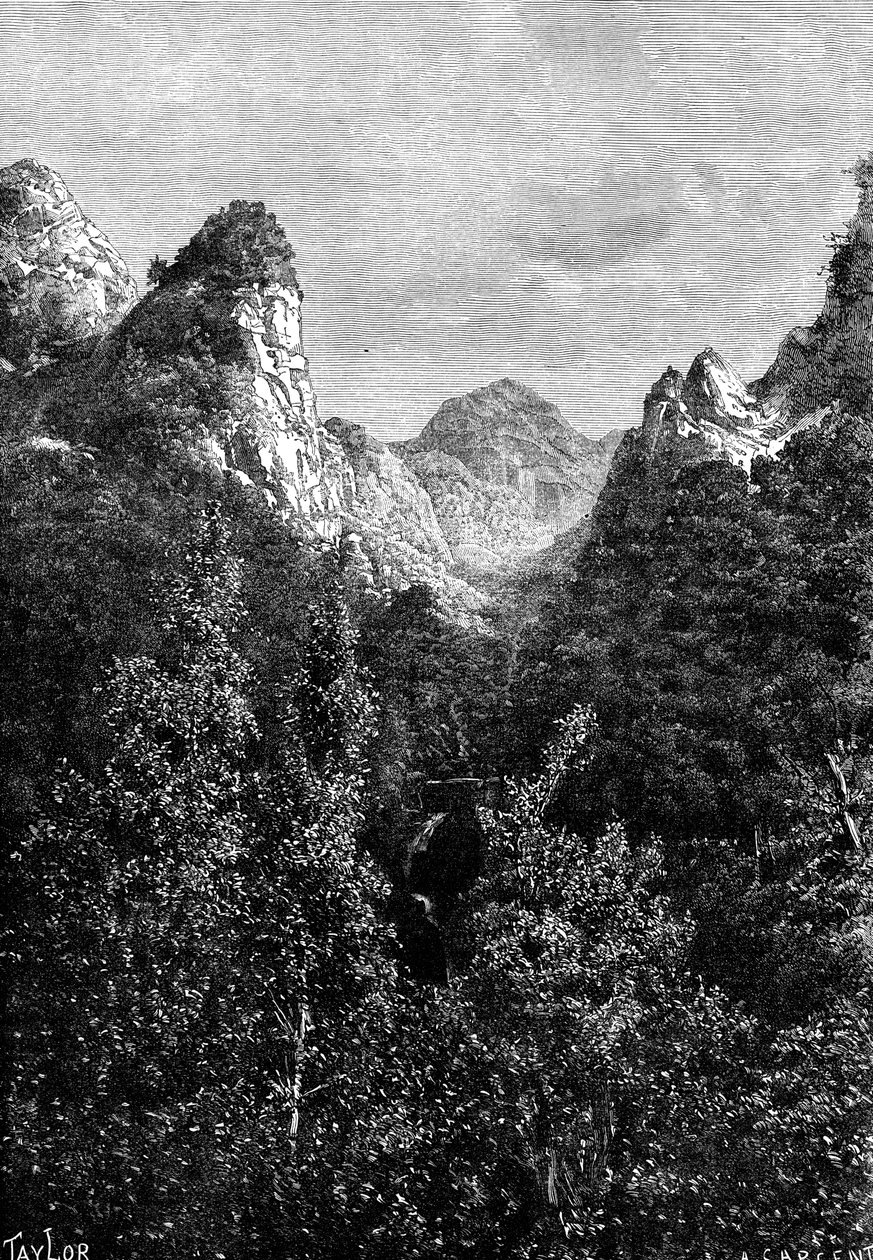 Madeira, Portekiz, 1895. by Taylor