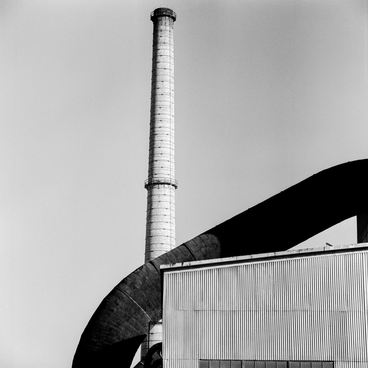  by Ted Spiegel