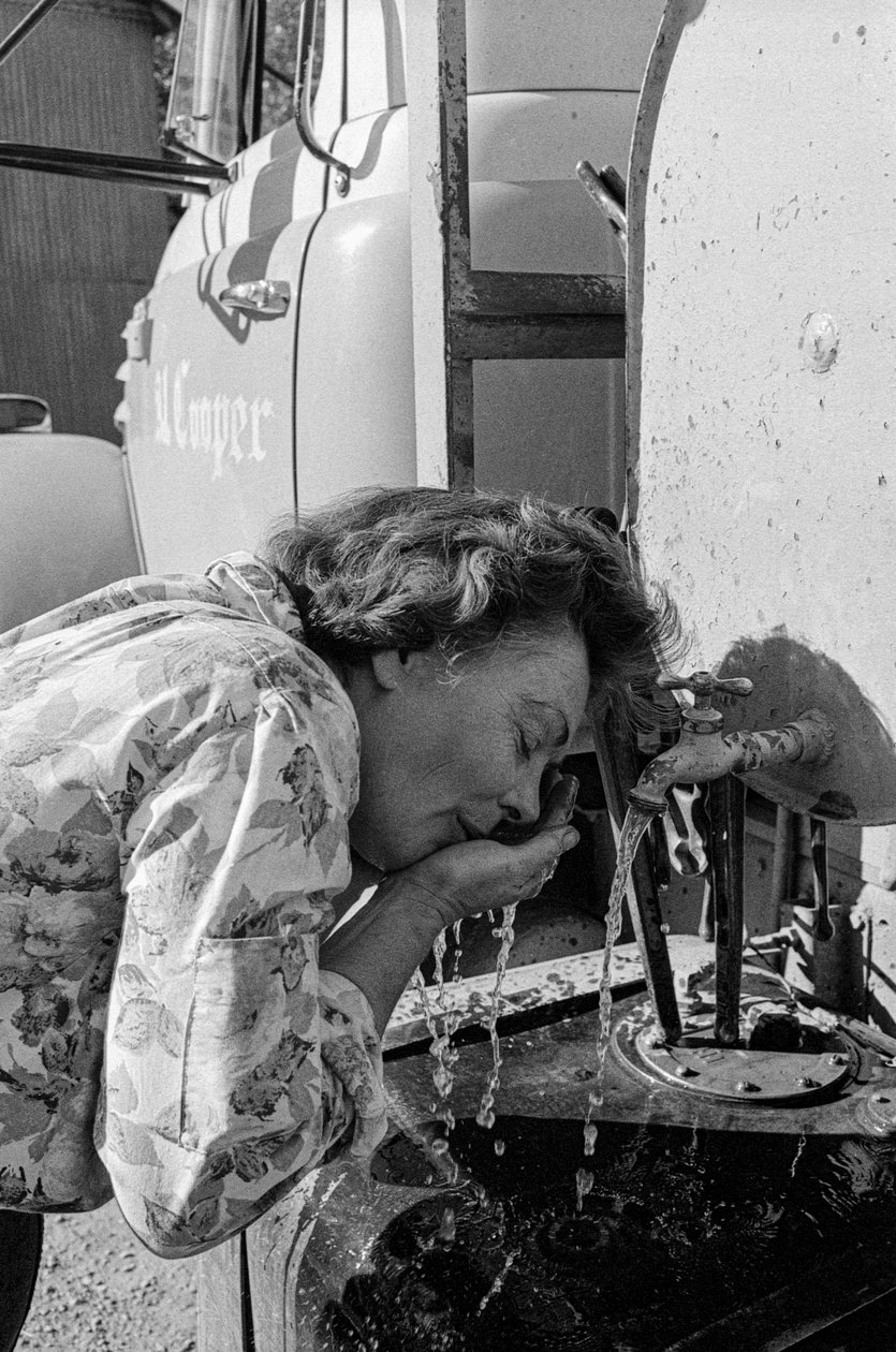  by Ted Spiegel