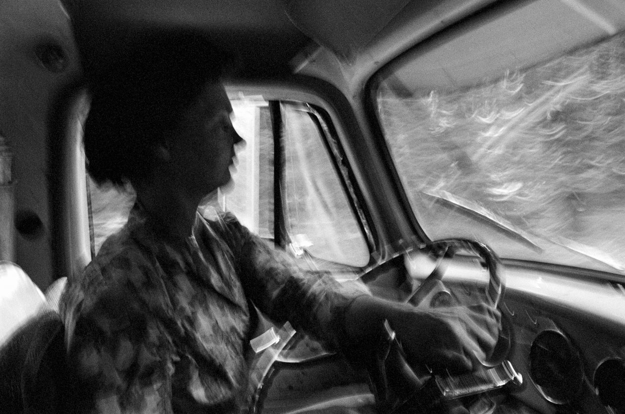  by Ted Spiegel