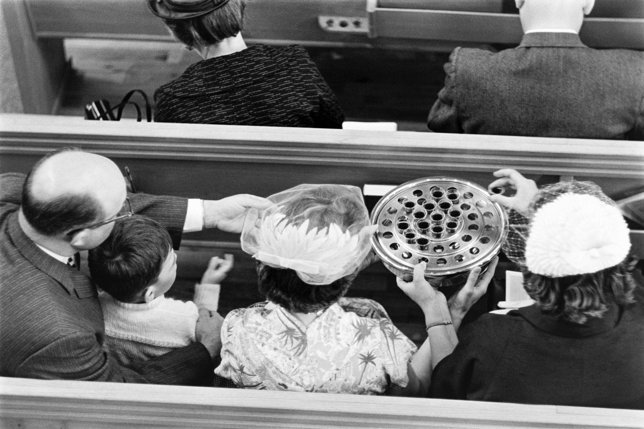  by Ted Spiegel