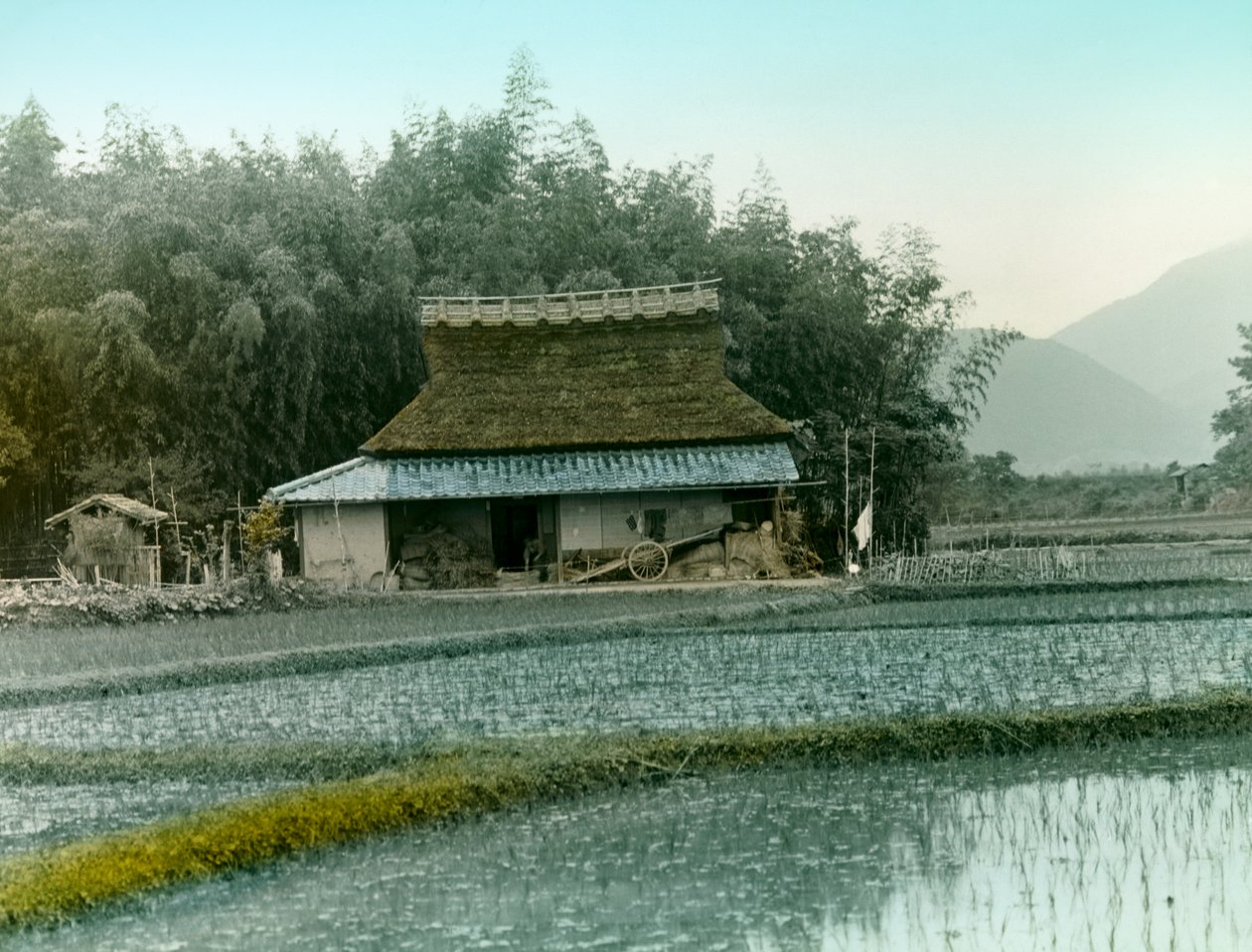  by Teijiro Takagi