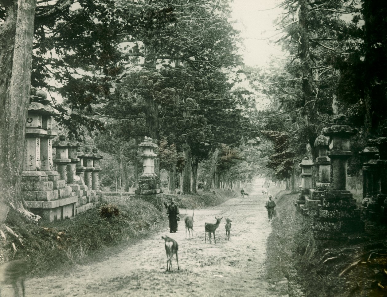  by Teijiro Takagi