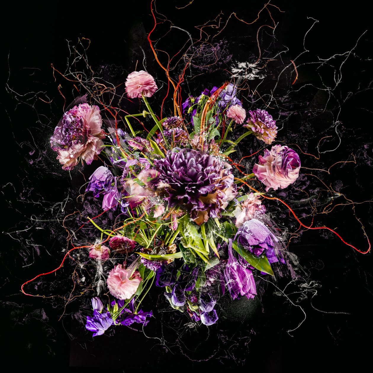 Buket IV, 2017 (fotoğraf) by Teis Albers