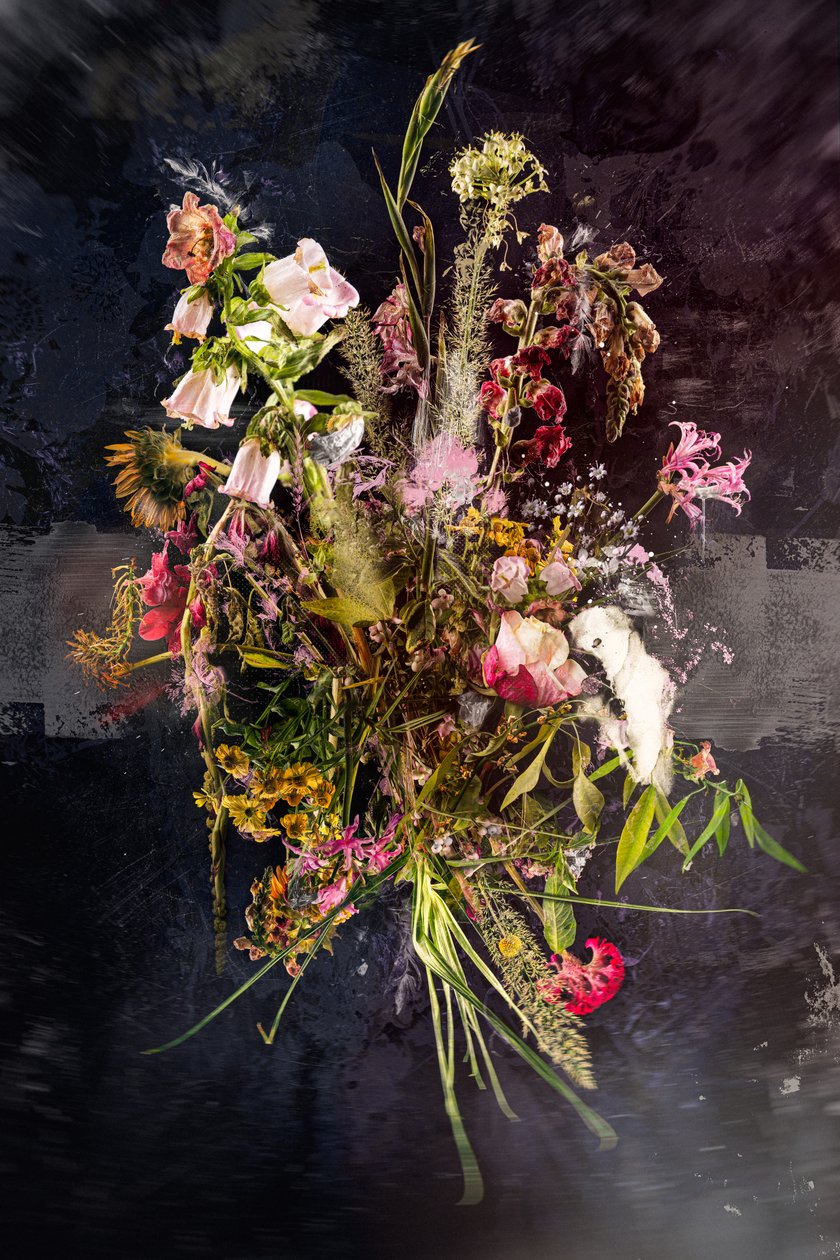Buket XXVIII, 2019 (fotoğraf) by Teis Albers