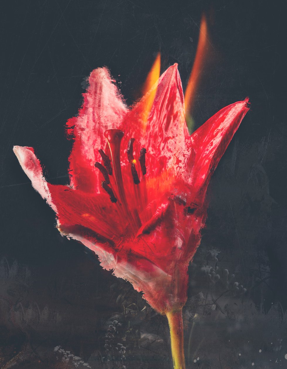 Combust, 2019 (tuval üzerine karışık teknik) by Teis Albers