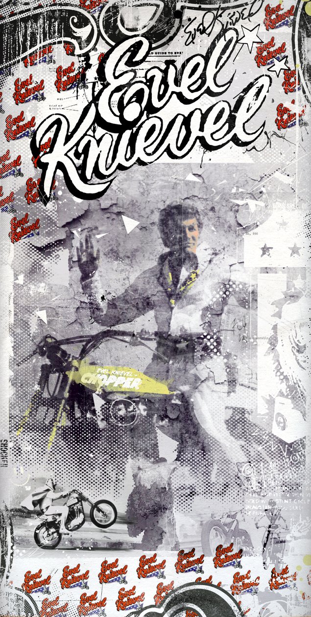 Evel Knievel, 2015 (Tuval üzerine kolaj) by Teis Albers
