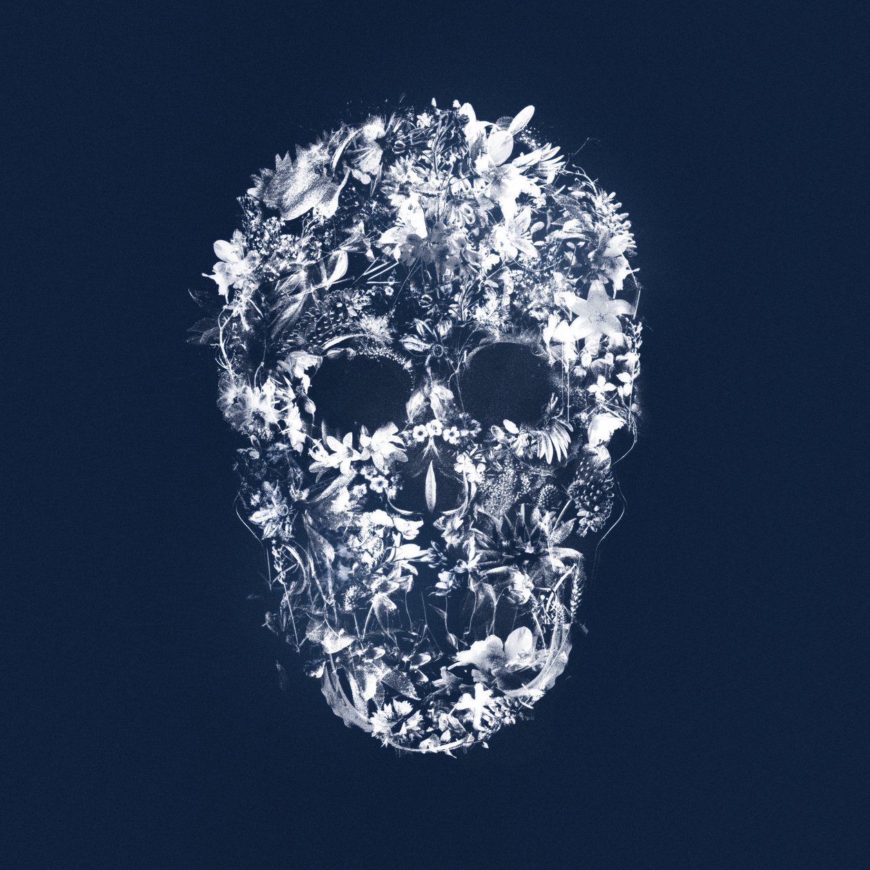 FloralSkull, 2018 (tuval üzerine karışık teknik) by Teis Albers