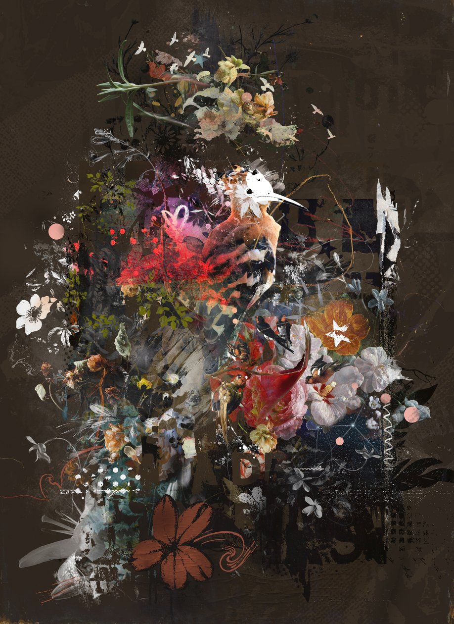 Floralies, 2018 (Tuval üzerine kolaj) by Teis Albers
