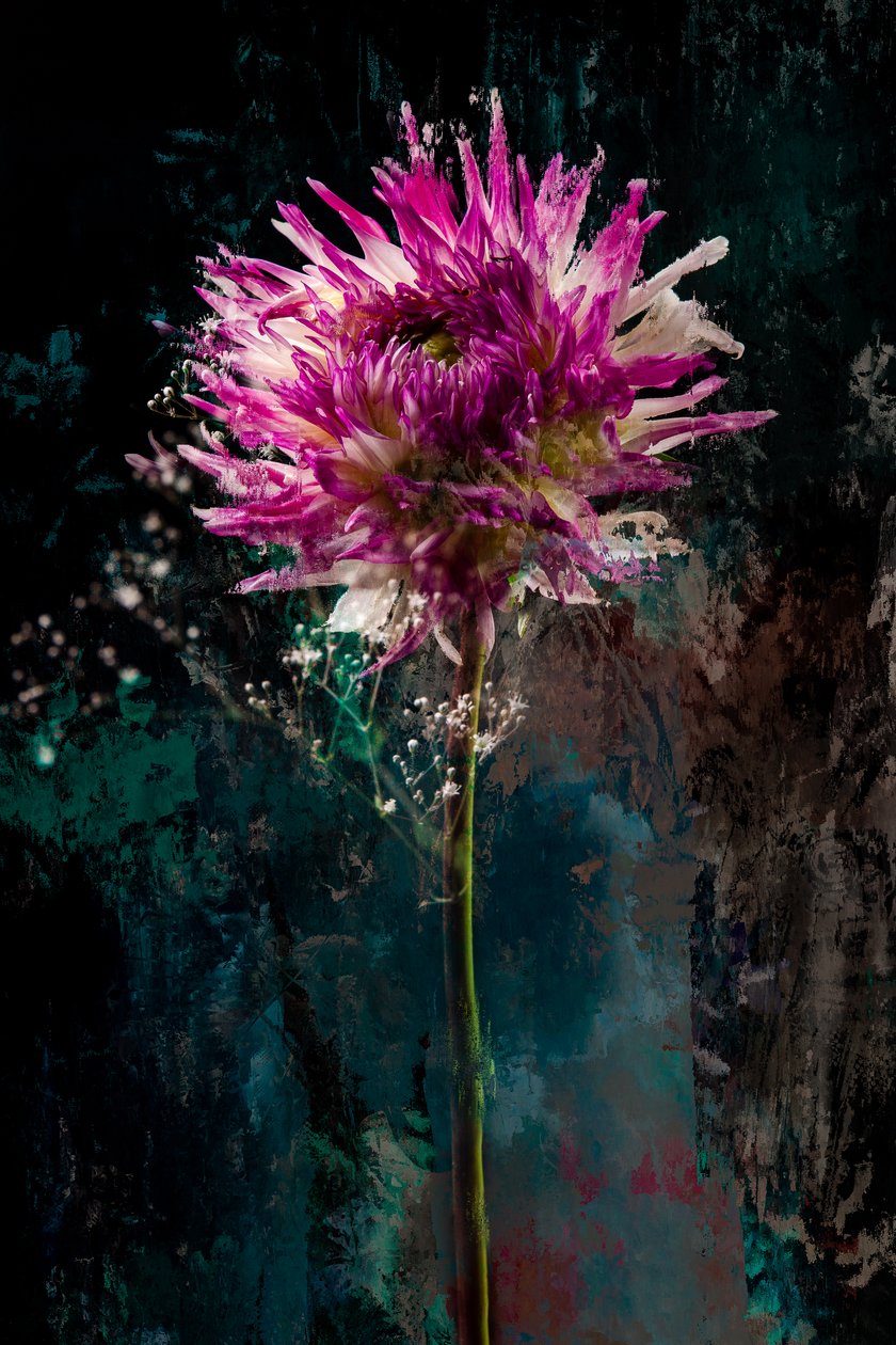 Sugarplum, 2018 (fotoğraf) by Teis Albers