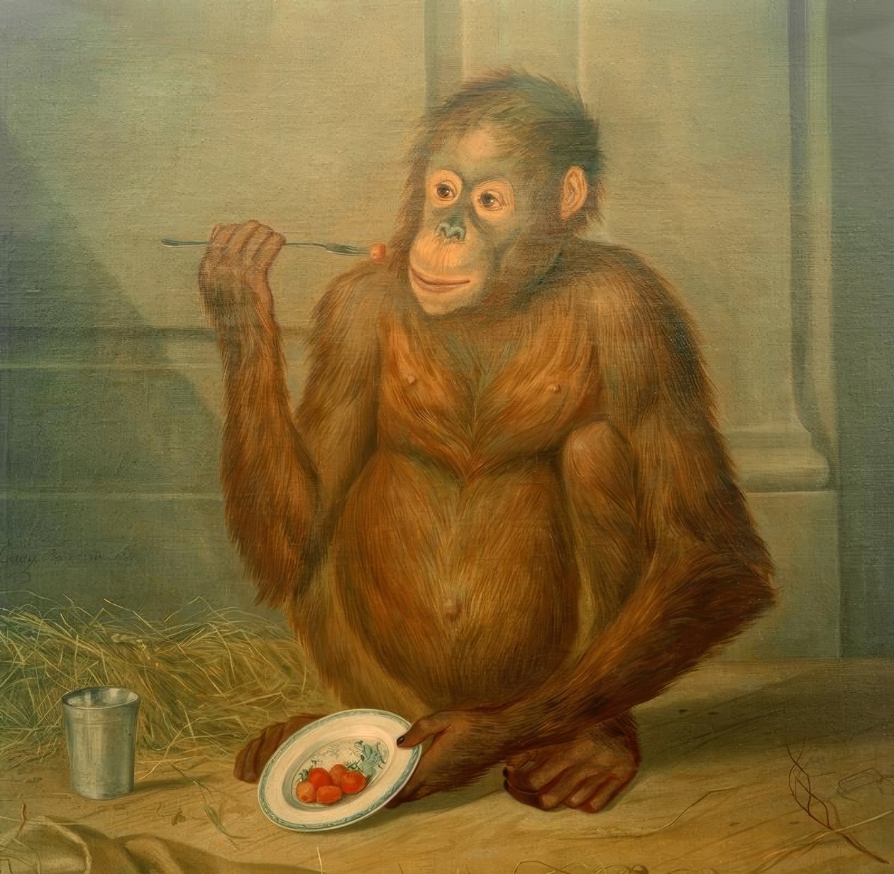 Orangutan, çilek yemek by Tethart Philipp Christian Haag