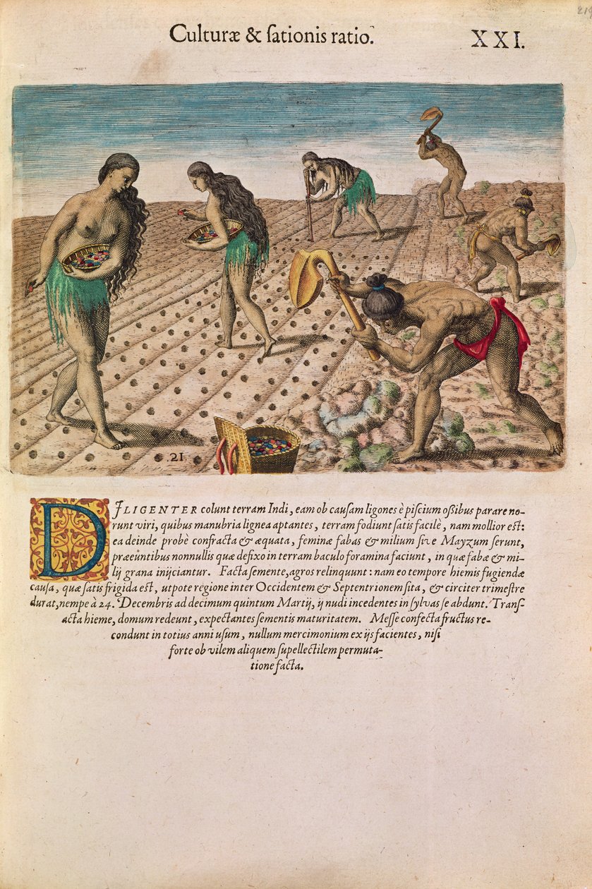 Florida Kızılderilileri mısır ekiyor, Theodore de Bry tarafından yayınlanan 