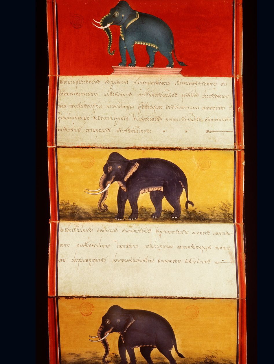 Fil eğitimi üzerine bir el yazmasından folyo (kalem ve mürekkep ve kağıt üzerinde tuvalet) by Thai School