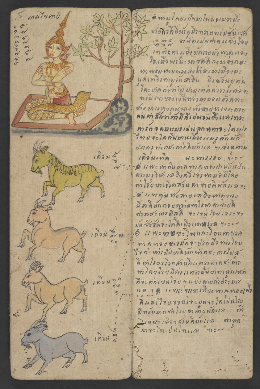 Veya 16455 f.5r, Zodyak