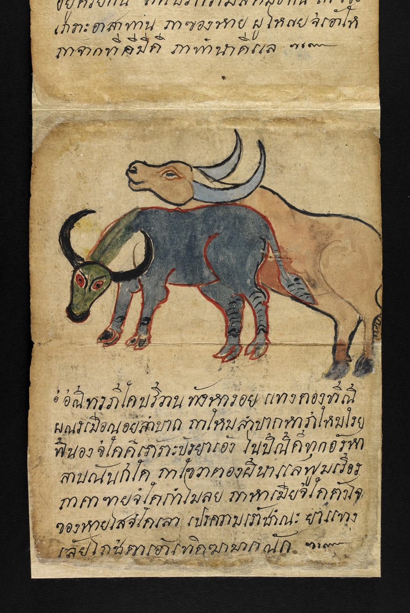 Veya. 16482, f.15 