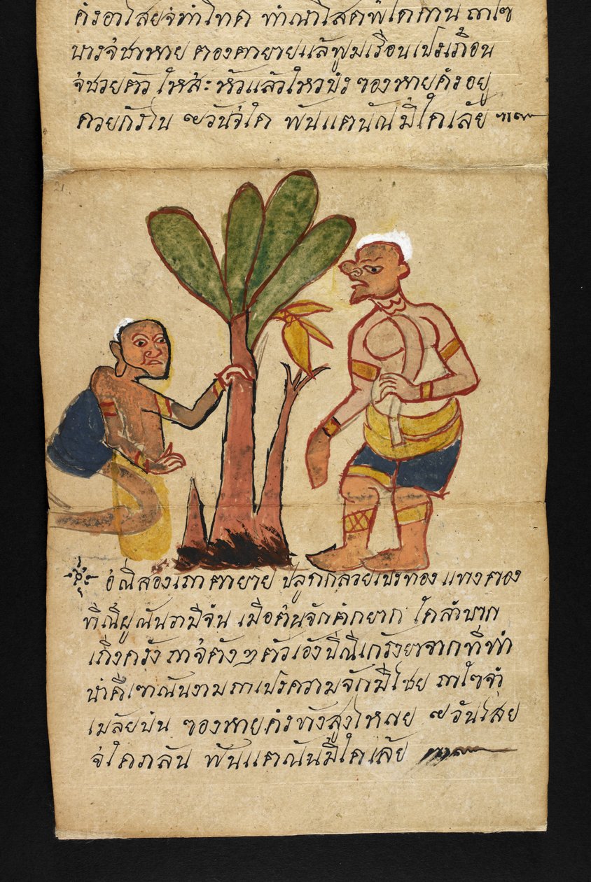 Veya. 16482, f.21 