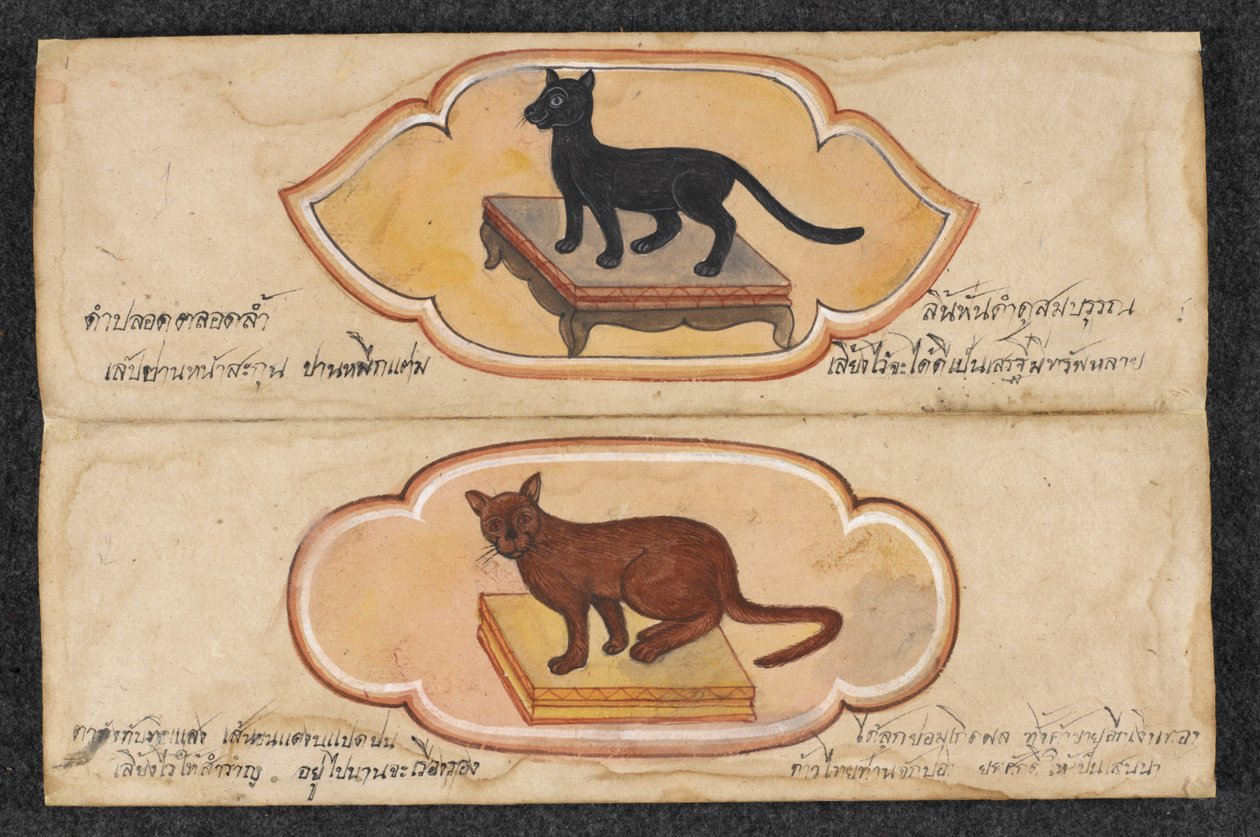 Siyam Kedileri, Fol. 1: iş ve servet birikimini desteklemek için iki şanslı kedi, Veya. 16797, f.1 (parşömen) by Thai School