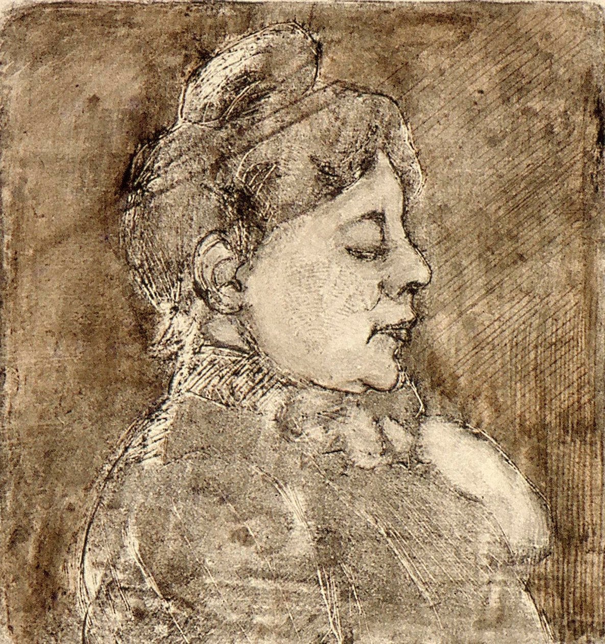 Agnita Feis