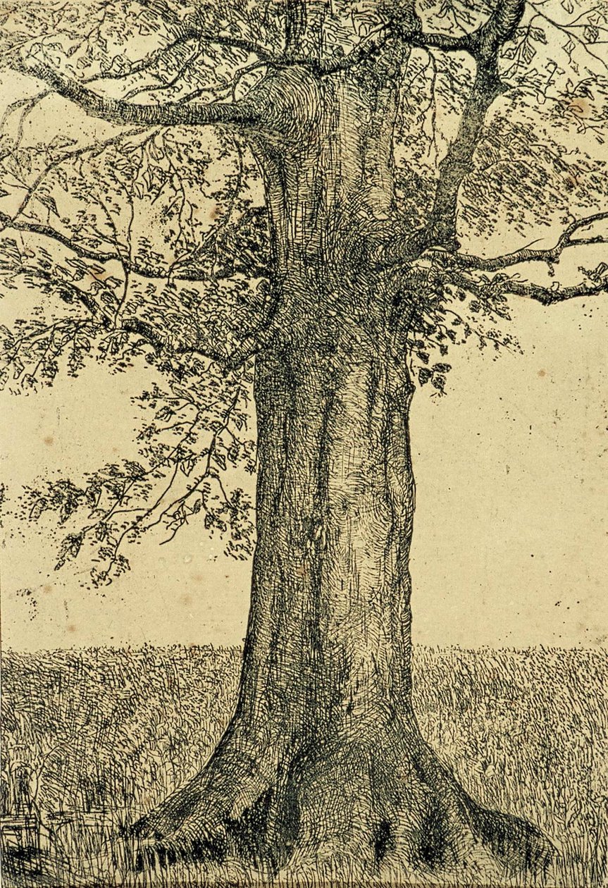 Ağaç by Theo van Doesburg