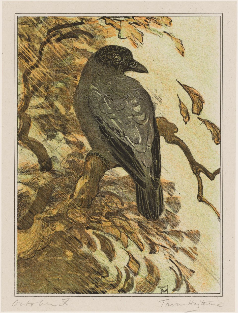 Dalda tüylü karga by Theo van Hoytema (signed by artist)