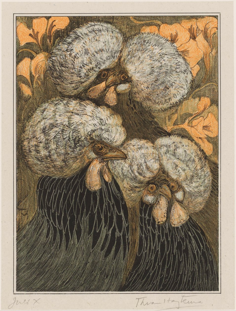 Üç tepeli tavuk by Theo van Hoytema (signed by artist)