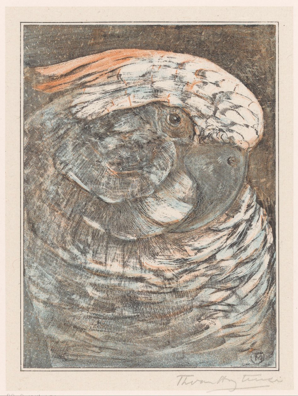 bir papağan başkanı by Theo van Hoytema (signed by artist)