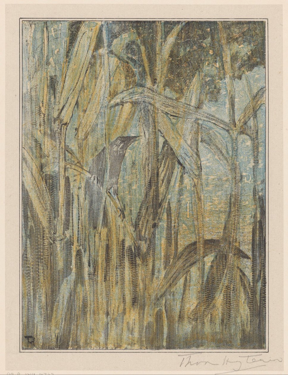 sazlık kuş by Theo van Hoytema (signed by artist)