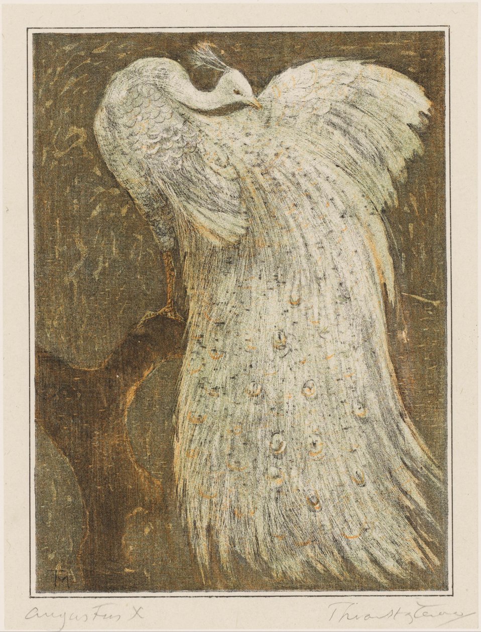 Dalda beyaz tavus kuşu by Theo van Hoytema (signed by artist)