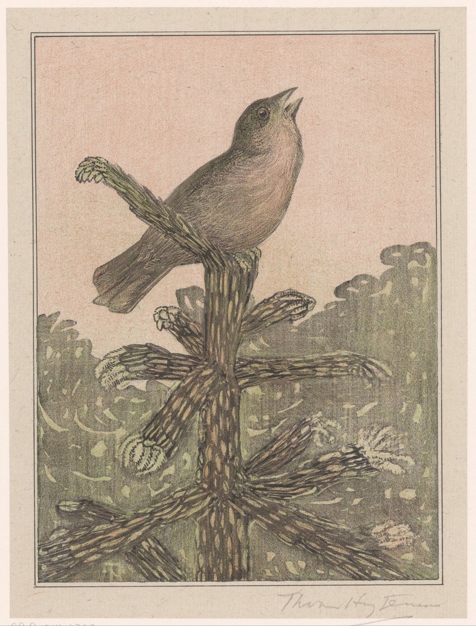 Çam ağacında şarkı söyleyen kuş by Theo van Hoytema (signed by artist)