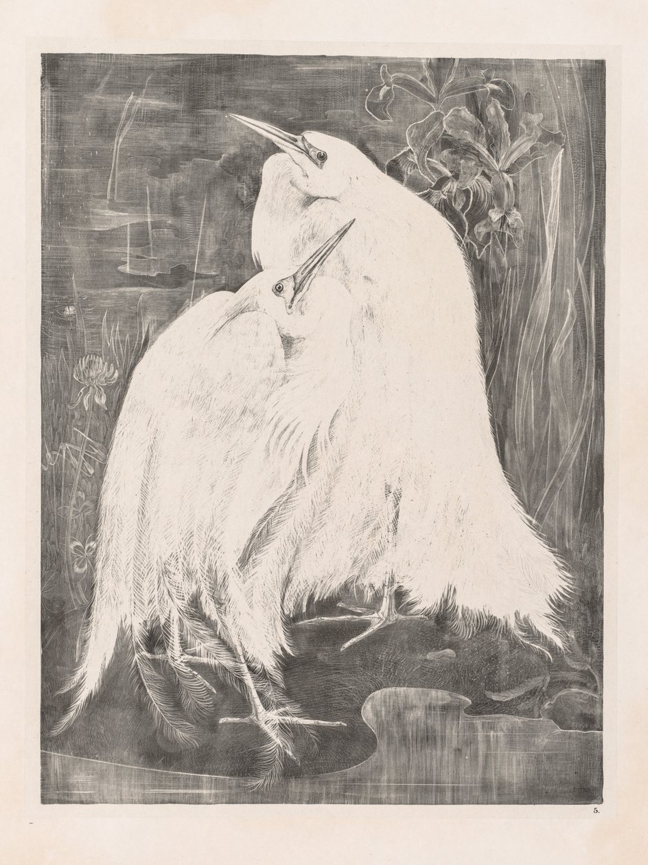  by Theo van Hoytema